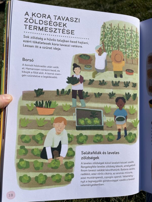 A tápláló kert - Image 3