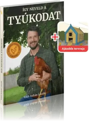Így neveld a tyúkodat