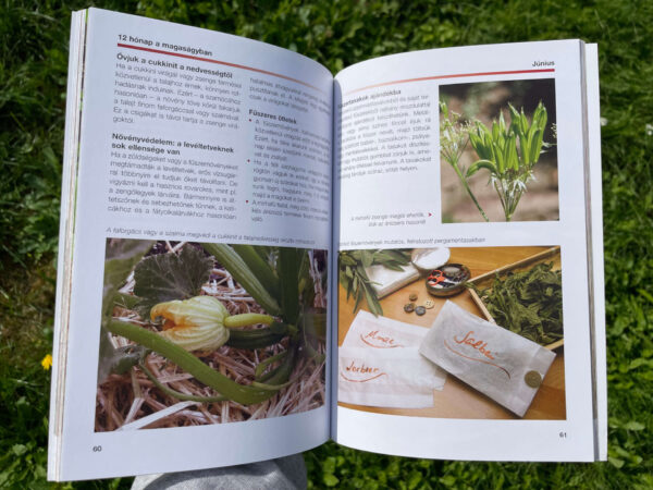 Magaságyások – Gyakorlati tanácsok hónapról hónapra - Image 2