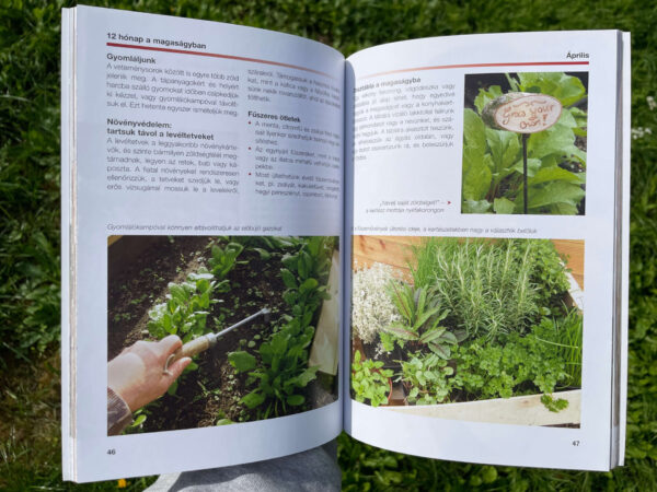 Magaságyások – Gyakorlati tanácsok hónapról hónapra - Image 3