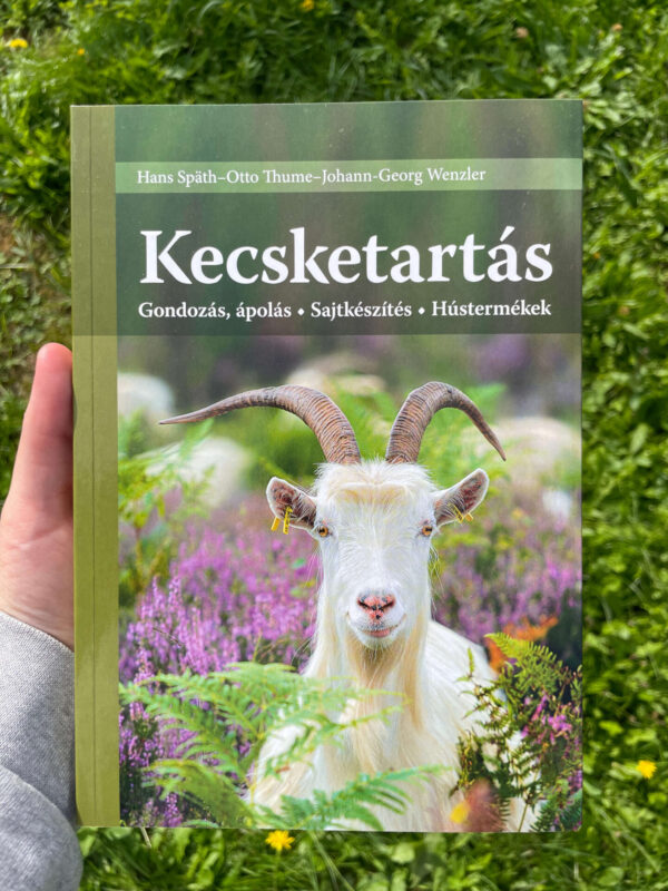 Kecsketartás