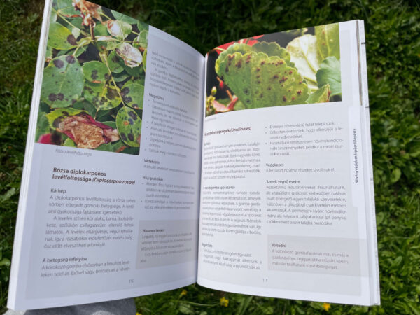 Növényvédelem vegyszerek nélkül a kiskertekben - Image 2