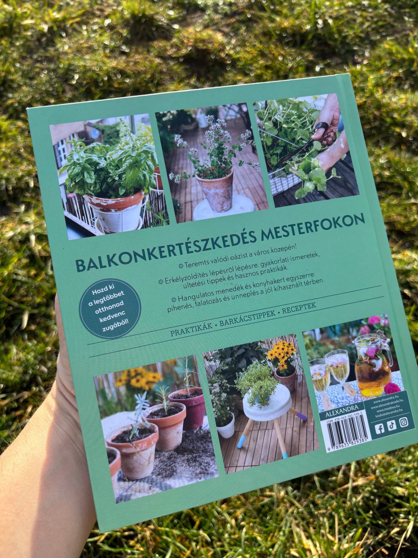 Szenvedélyem az erkélyem - Image 4