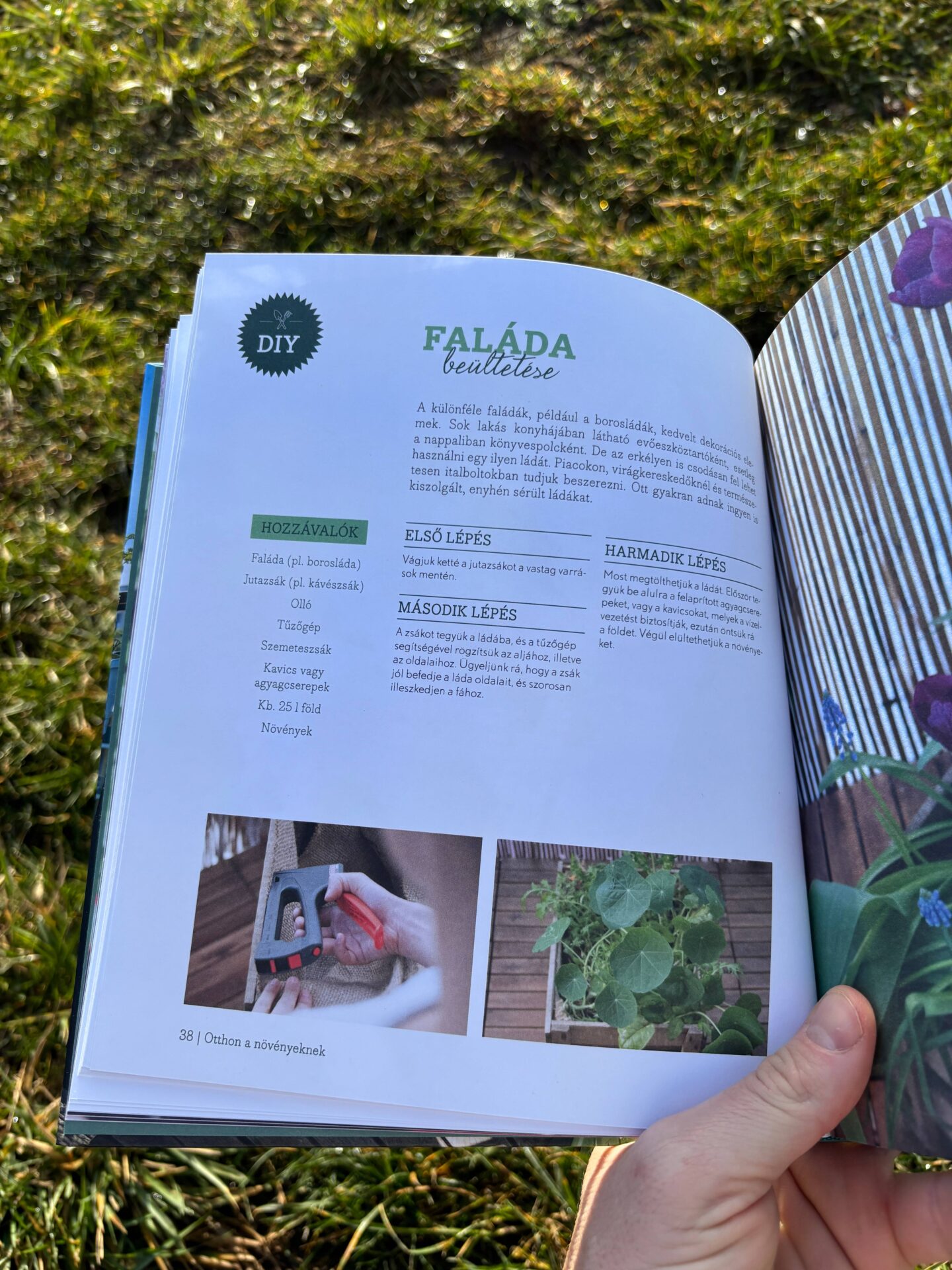 Szenvedélyem az erkélyem - Image 2