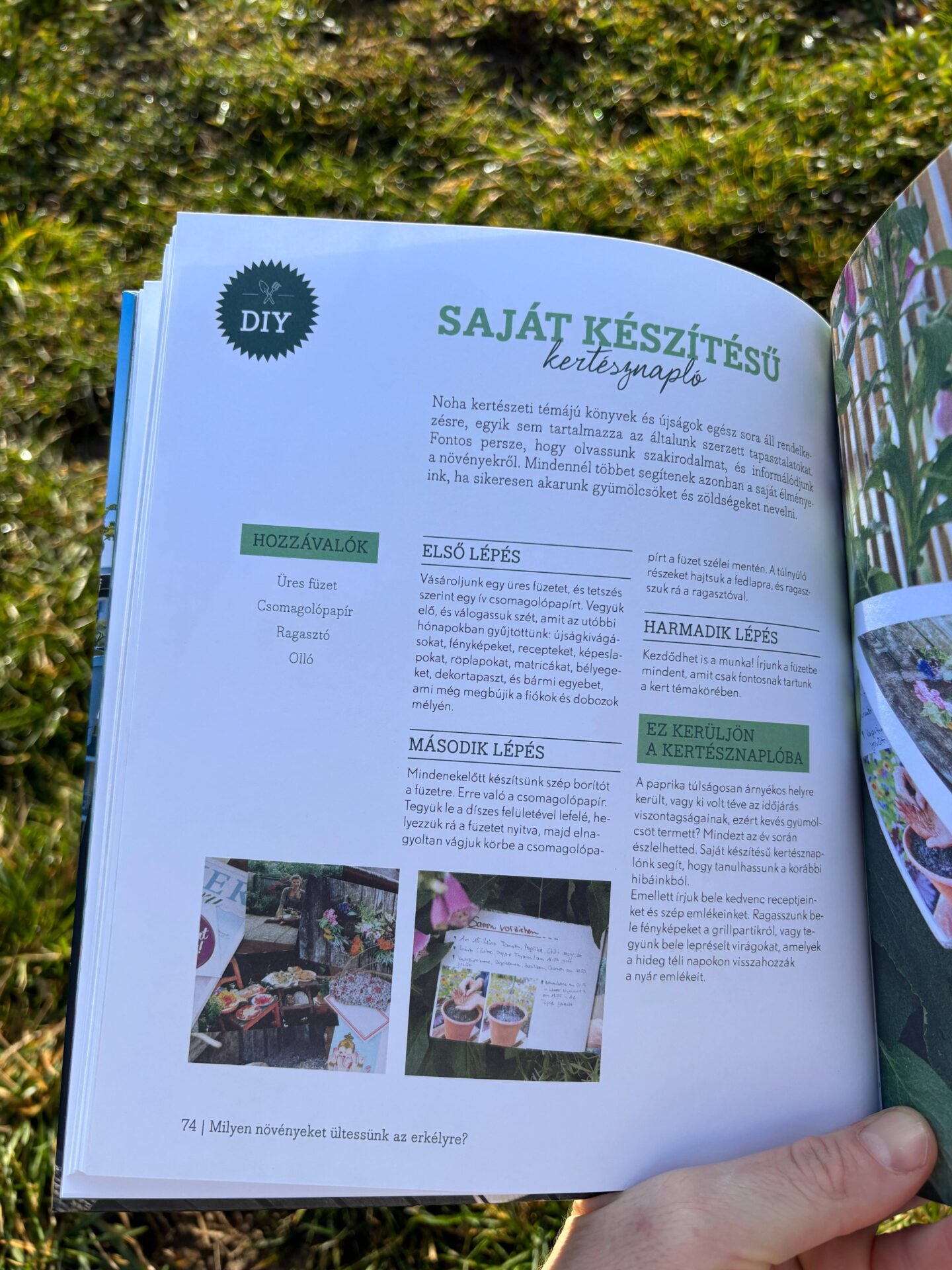 Szenvedélyem az erkélyem - Image 3