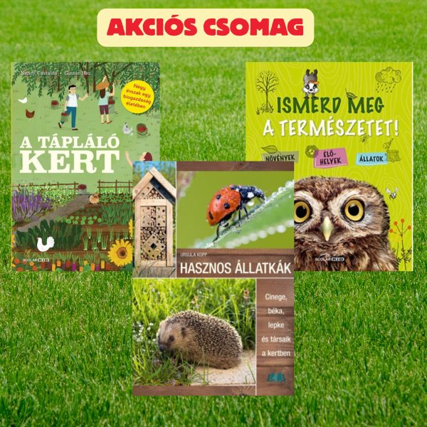 Akciós csomag másolata