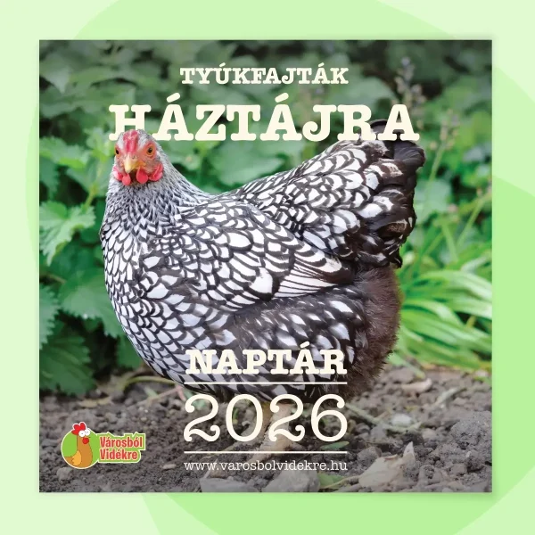 naptar-2026-elolap